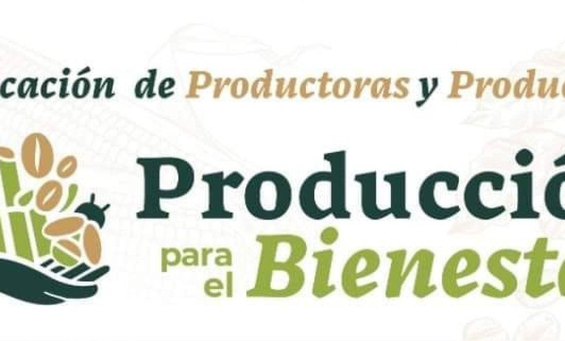 Inicia verificación de registro para acceder al programa Producción para el  Bienestar