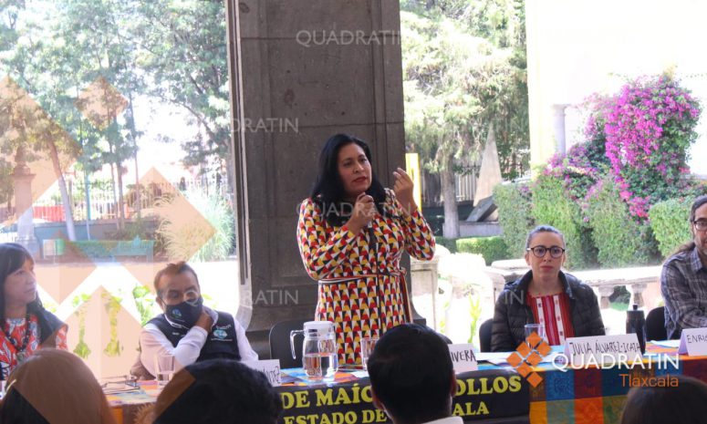 Víctor Villalobos es un enemigo del pueblo de México: Senadora