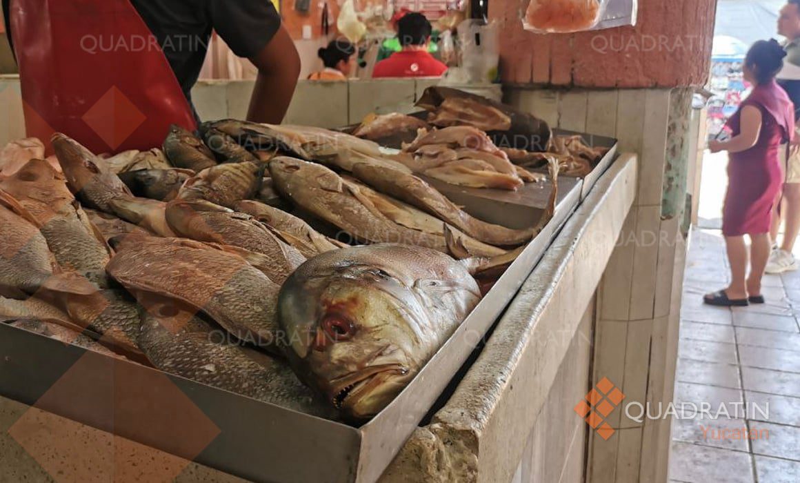 Pesca ilegal representa un 40 por ciento del total en el país