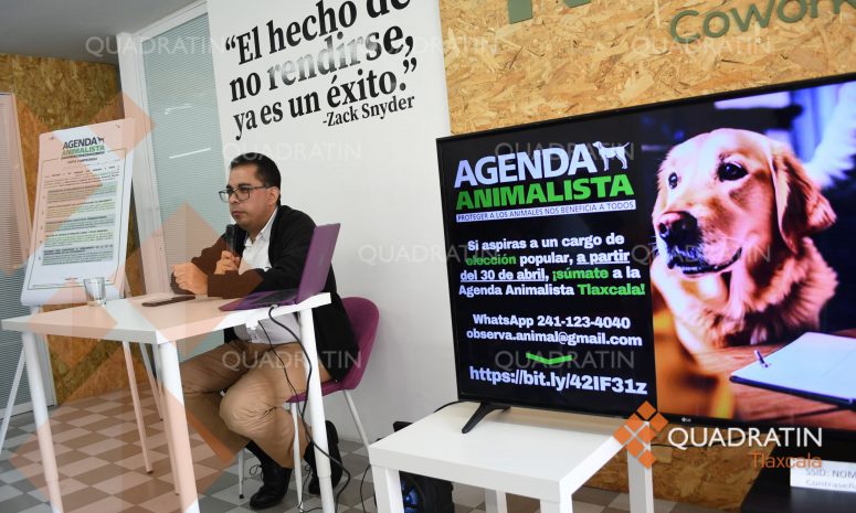 Llama OCPA a candidatos integrar Agenda Animalista en propuestas de campaña