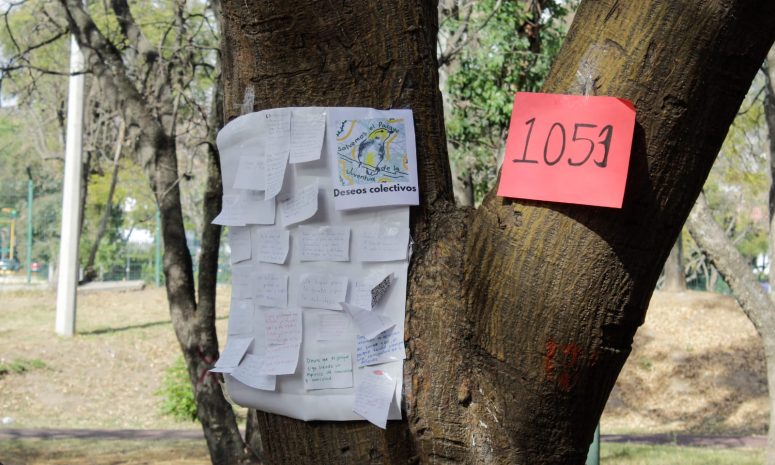 Continúa simulación de preservación en Parque de la Juventud